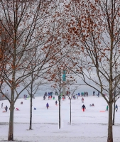 Sledding_NancyZannini.jpg