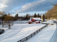 Weathercock_Farm_BWilcox.jpg