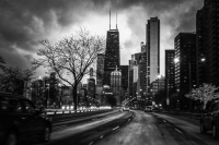 DrivingOnLakeshoreDrive_NancyZannini~0.jpg