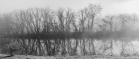 Fog_on_the_Housatonic_by_BertSchmitz.jpg