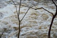 Rough_Housatonic_River.jpg