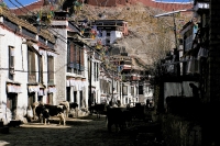 Mainstreet_Gyltsan_Tibet.jpg