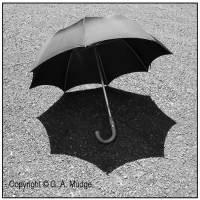 Umbrella_at_the_Ready.jpg