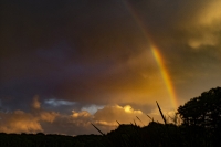 Rainbow_over_the_lake_by_Steven_Goldberg.jpg