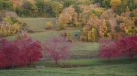 PA082816.jpg