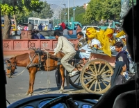 Band_on_Horse_and_Cart___Ian_Peters.jpg