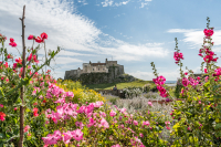 21_2016-08-23_Lorna_Lindisfarne-1649.jpg