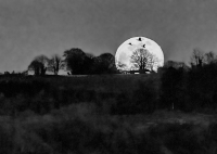 Moon_Geese_B_W_7565.jpg