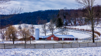 Winter_Farm_by_Bert_Schmitz.jpg