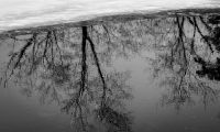 Reflection_in_Black_and_White_1.jpg