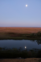 Full_Moon_in_Sea_Island_Marsh.jpg