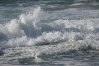 ORG_DSC09803.JPG
