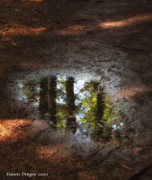 Puddle_Refelection_with_Sig.jpg