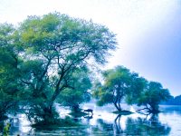 Water_Nature_Reserve_India.jpg