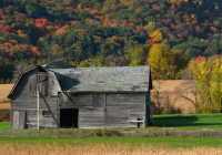 Abandoned_Barn.jpg