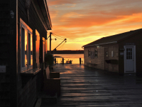 Buildings_on__the_Warf.jpg