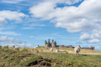 Ian_Peters_-_Dunstanburgh_Castle-1297.jpg