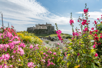 Ian_Peters_-_Lindisfarne_Castle-3.jpg