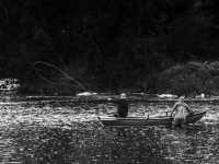 Casting_on_The_River_Tweed-.jpg