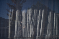 curtains.jpg