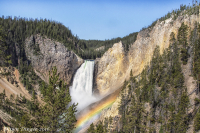 Grand_Canyon_of_Yellowstone_DawnDingee.jpg