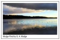 Mudge_Pond_-_A.jpg