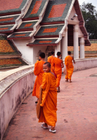 Novice_Monks_-_Thailand.jpg
