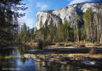 Yosemite_December_2021_DawnDingee.jpg