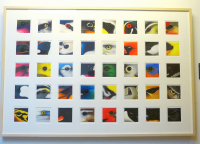 P1060165_Painting_of_Bird_Eyes.jpg