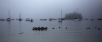 Fog_in_the_Harbor_dawndingee.jpg