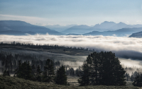 Early_morning_in_Yellowstone_DawnDingee.jpg