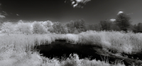 DSC_1880-Pano-copy.jpg