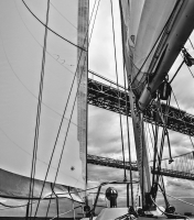 Starboard_Tack_under_the_Bay_Bridge.jpg