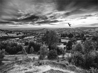 Kestrel_hovering_in_the_Sunset_-_Ian_Peters.jpg