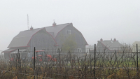 Fog_Barn2C_Canada.jpg