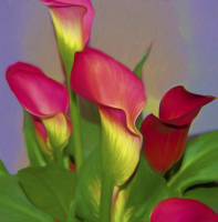 Calla_Lillies_Painting_-_By_Karen_McMahon.jpg