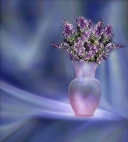 Lilacs_-_By_Karen_McMahon.jpg