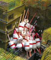 Lobster_Gear.jpg