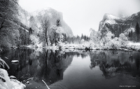 Yosemite_Winterscape_2_Dawn_Dingee.jpg