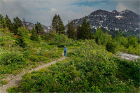 Walking_in_North_Cascades_N_P__by_Bert_Schmitz.jpg