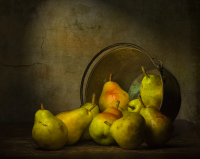 A202379_LP_Still_life_with_brass_bucket_and_pears.jpg
