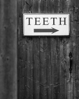 Teeth_-_Raphael_Swift.jpg
