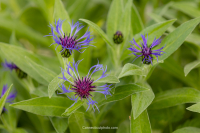 20230515_HCC_Outing-_036.jpg