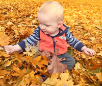 Playing_In_The_Leaves_-_By_Karen_McMahon.jpg