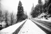 Snowy_Ride_Home_DawnDingee.jpg