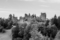 Schloss_Ehrenberg_BW_Hoeller.JPG