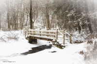 Stone_Church_Bridge_2021.jpg