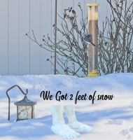 White_Stuff_3_-_By_Karen_McMahon.jpg
