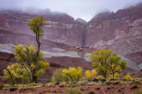 Misty_Valley_by_Bert_Schmitz.jpg