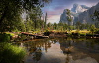 Yosemite_El_Capitan_DawnDingee.jpg